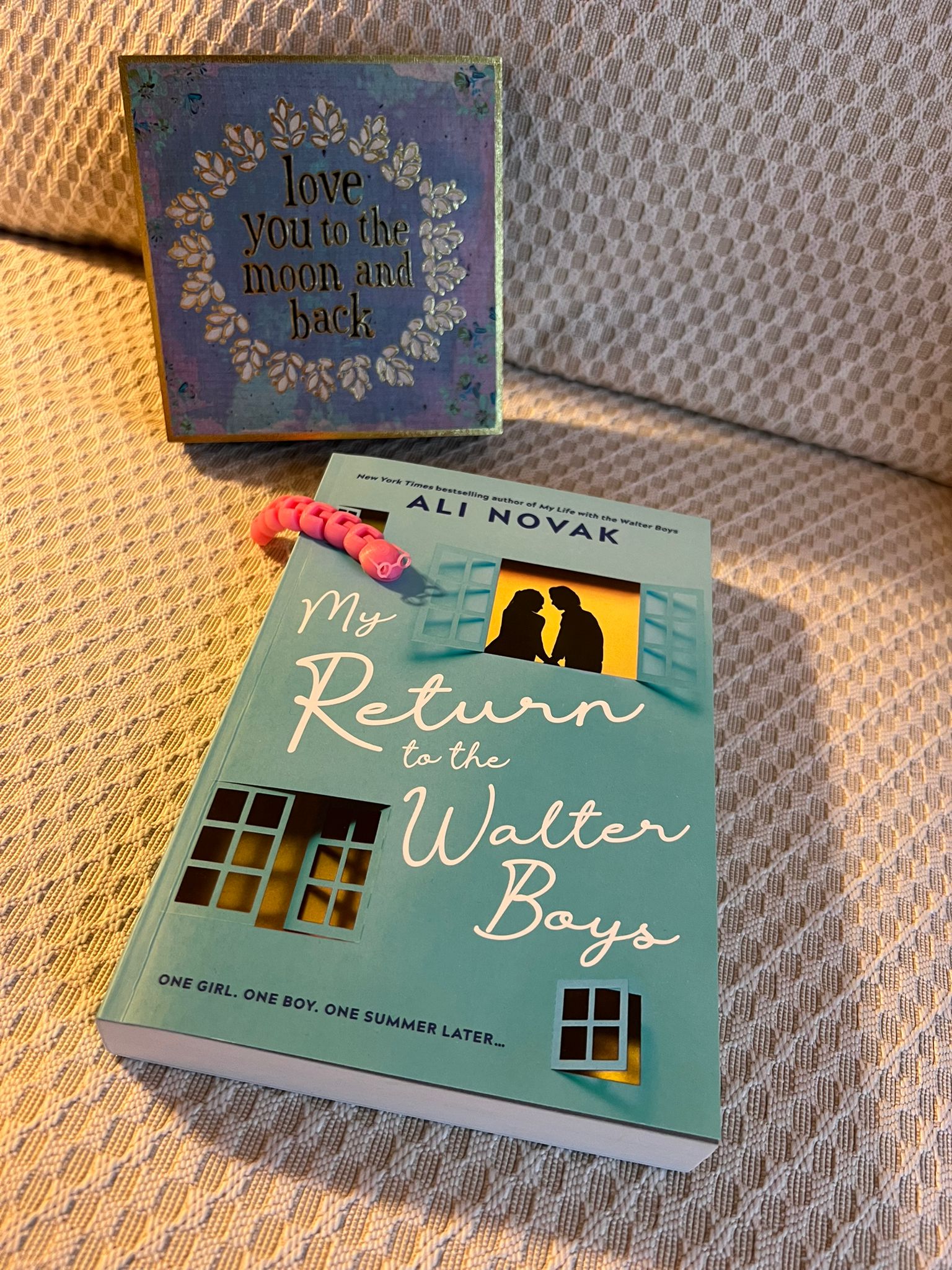 My Return to the Walter Boys – Ali Novak